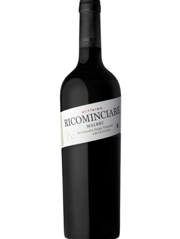 04_ricominciare_altisimo_malbec